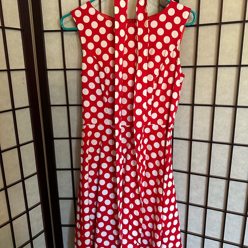 Polka Dot Dress